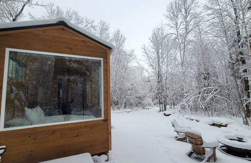Dorchester Apartment | Trailside Stays - Tiny House in the Woods-Escape to Nature. Blue Jay