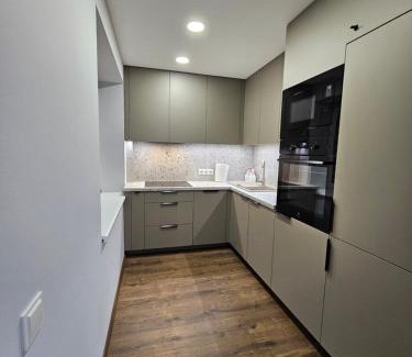 Siauliai City Center Apartment | Trakai City apartment 2-bedroom
