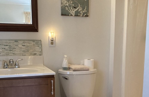 Amelia Court House House | Tranquil, rural setting!