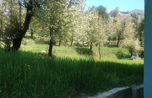 Naddi Bed & Breakfast | Tranquil Trails Naddi Nature View