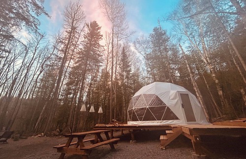 Pikwakanagan Cabin | TRANQUILITY DOME OFFGRID GLAMPING RETREAT IN PRIVATE FOREST!