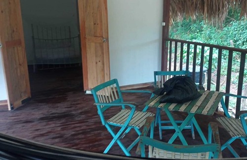 Palomino Cabin | Tranquilo y acogedor.