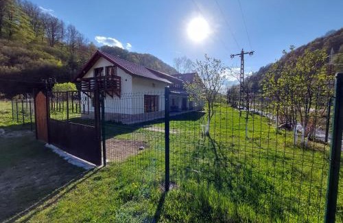Petrosani House | Transilvania 10 - Casa Poarta Văii Jiului
