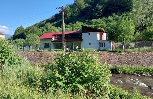 Petrosani House | Transilvania 10 - Casa Poarta Văii Jiului