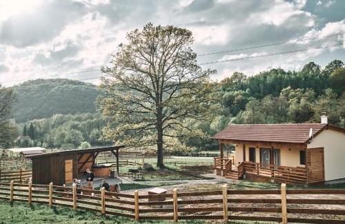 Bradut House | Transylvania Forest Haven-Luxury Cabin