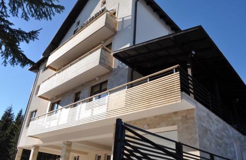 Baisoara House | Transylvania Villa & Spa
