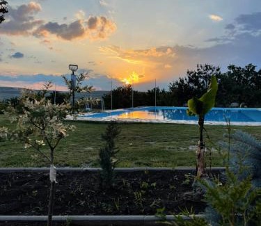 Turda Bed & Breakfast | Transylvania WINE