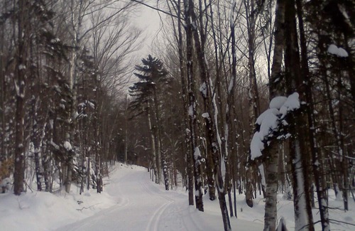 Moscow Condo | Trapp Family Lodge Guest House - New Years' week! Available Dec 30-Jan 6