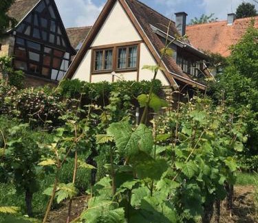 Gleisweiler Apartment | Traumblick Rebenmeer