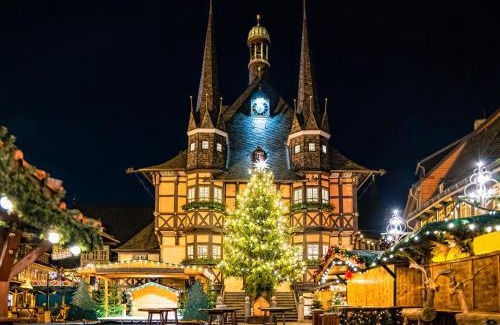 Wernigerode Apartment | TraumFeWo Palais #Innenstadt #Garten #Netflix von Harztraveler
