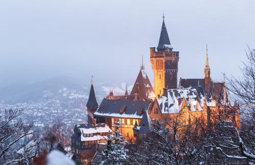 Wernigerode Apartment | TraumFeWo Palais #Innenstadt #Garten #Netflix von Harztraveler