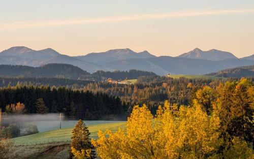 Buchenberg Apartment | Traumhafter Bergblick im Allgäuer Luftkurort