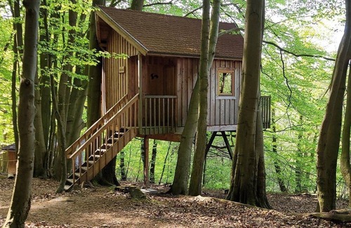 Solling Apartment | Tree house Ahletal, living/bedroom - Baumhaushotel Solling