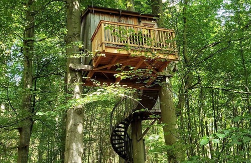 Northeim District Apartment | Tree house Baumtraum, living/sleeping room - Baumhaushotel Solling