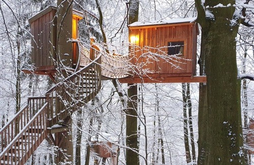 Northeim District Apartment | Tree house Baumtraum, living/sleeping room - Baumhaushotel Solling