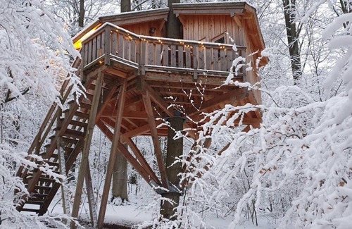 Solling Apartment | Tree house Kobel, living/sleeping room - Baumhaushotel Solling
