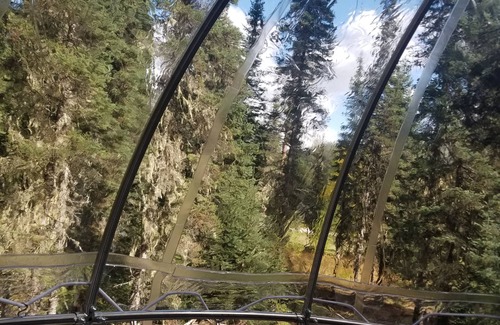 West Glacier Resort | Tree House Tent Cocoon #01