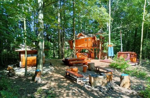 Cerveny Potok Other | Treehous Sněžník s wellness