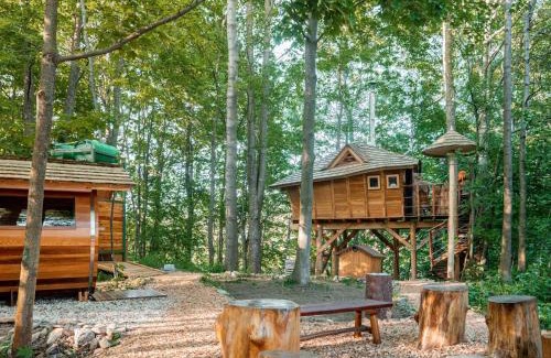 Cerveny Potok Other | Treehous Sněžník s wellness