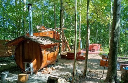Cerveny Potok Other | Treehous Sněžník s wellness