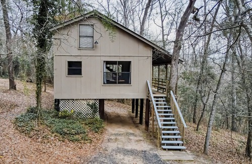 Nacogdoches Cabin | Treehouse - A cabin in the canopies at Stag Leap Cabins!