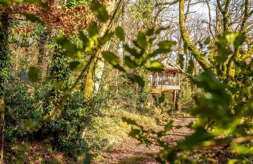 Beaworthy House | Treehouse in Germansweek near Dartmoor Trails