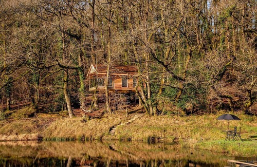Beaworthy House | Treehouse in Germansweek near Dartmoor Trails