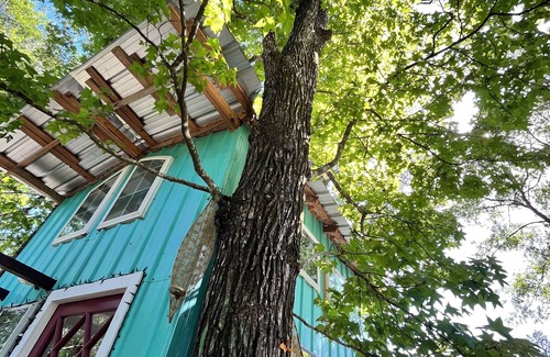Shepherd House | Treehouse with golf cart in Shepherd - near Lake with wild alligators