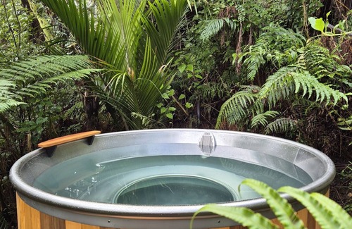 Punakaiki House | Treescapes - Hot Tub in the Rainforest, 2km from Punakaiki