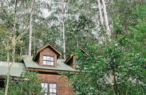 Salisbury Cabin | Treetops - Your Rainforest RetreatnnSurround yourself with nature.