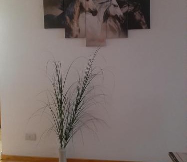 Trelew Apartment | Trelew Alojamiento