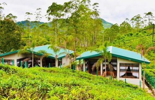 Hatton Hotel | Triniton Holiday Villas