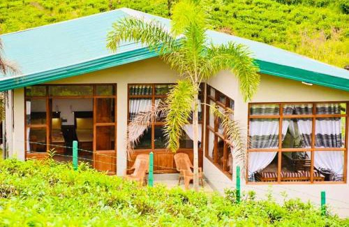 Hatton Hotel | Triniton Holiday Villas