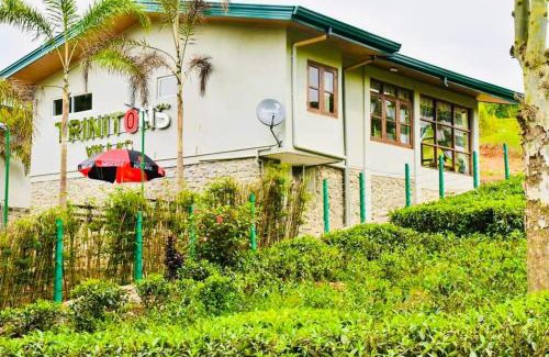 Hatton Hotel | Triniton Holiday Villas