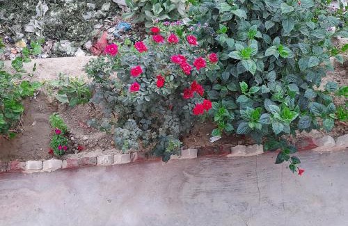 Gorakhpur House | Tripathi's Humble Abode