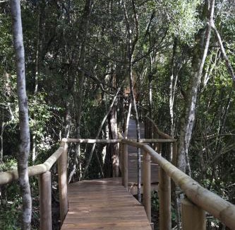 Die Barakke Bed & Breakfast | Trogon House and Forest Spa