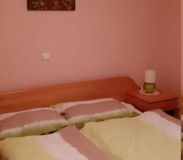 Tisina House | Tromejnik House