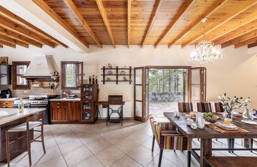 Pedhoulas Villa | Troodos Mature Pine Chalet