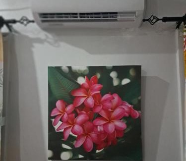 Nasinu Bed & Breakfast | Tropical Almond Haven