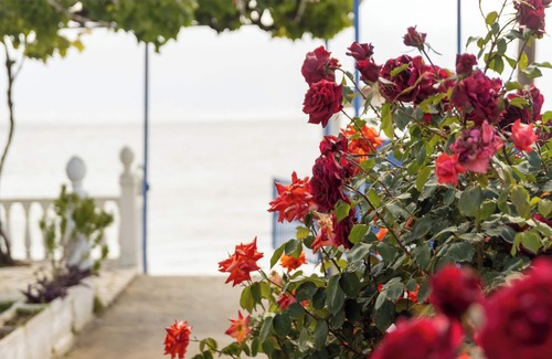 Petalidi House | Tropical Beach "Amphitrite"nWhere your holiday starts with only your swimsuit on