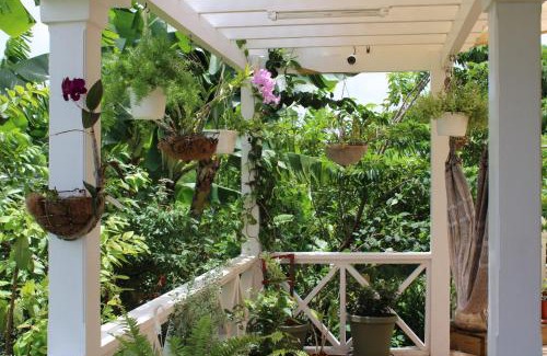 All Saints Apartment | Tropical Garden Cottage Antigua