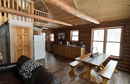 Newberry Cabin | True North - Cozy log cabin in the woods off the grid near Tahquamenon Falls