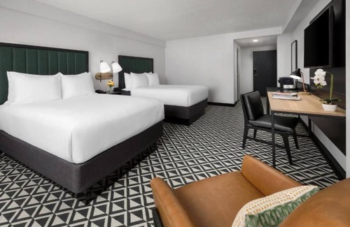 Brookline Hotel | Truly Comfortable Room for Boston's Cultural Travels! Near Fenway Park