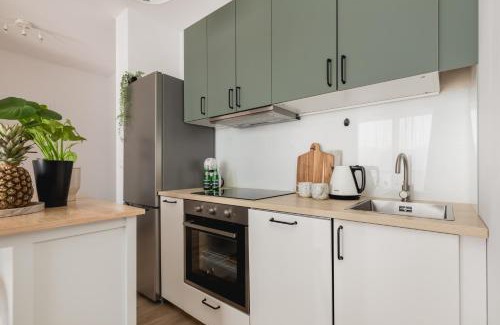 West Pomeranian Voivodeship Apartment | TS New Town Stay