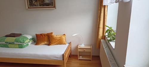 Ceska Trebova Apartment | Turista MAMI jednolůžák