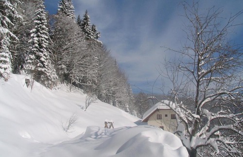Solcava House | Turistična kmetija Perk