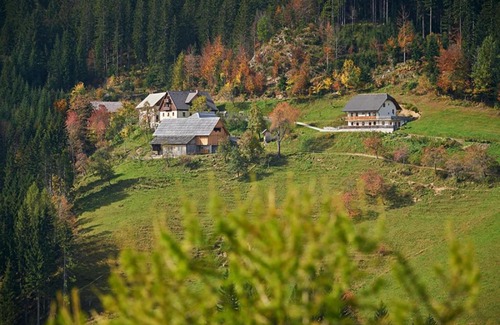 Solcava House | Turistična kmetija Perk