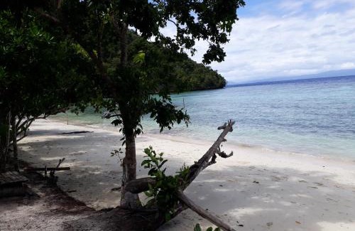 Raja Ampat House | Turtle Dive Homestay