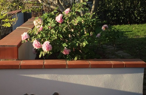 Zona 167 Scarlino Apartment | TUSCANY MAREMMA -Apartment with panoramic sea view, pets dom allowed