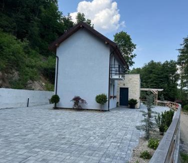 Valiug Villa | Twin Villa